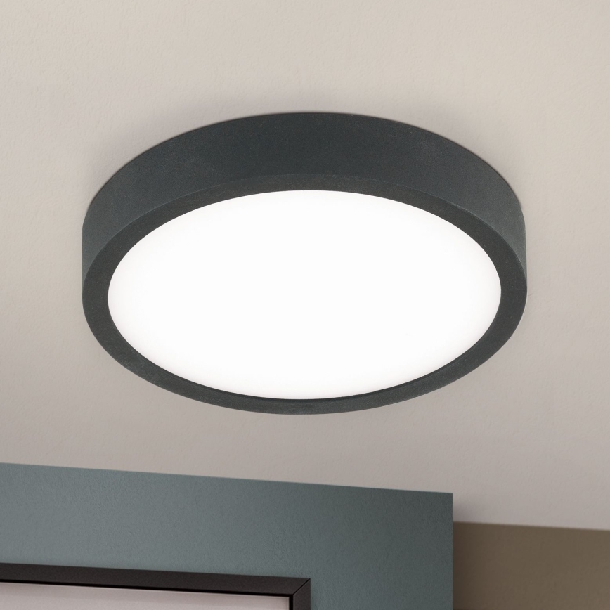LED Stropna svetilka BULLY LED/12W/230V pr. 14 cm črna