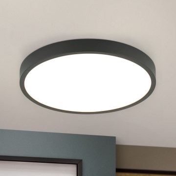 LED Stropna svetilka BULLY LED/24W/230V pr. 24 cm črna