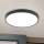 LED Stropna svetilka BULLY LED/28W/230V pr. 28 cm črna