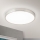 LED Stropna svetilka BULLY LED/28W/230V pr. 28 cm mat krom