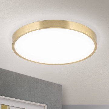 LED Stropna svetilka BULLY LED/28W/230V pr. 28 cm zlata