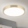 LED Stropna svetilka BULLY LED/28W/230V pr. 28 cm zlata