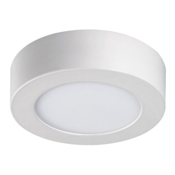 LED Stropna svetilka CARSA LED/6W/230V 4000K bela pr. 11,9 cm