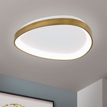LED Stropna svetilka CHARLIE LED/35W/230V pr. 45 cm zlata