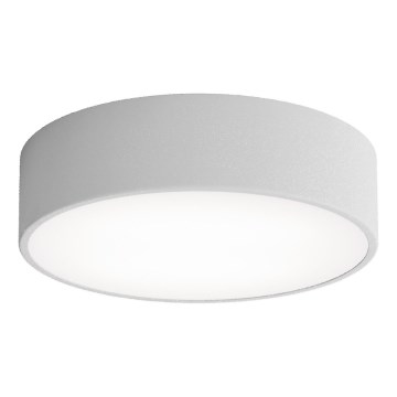 LED Stropna svetilka CLEO LED/24W/230V 3000K pr. 30 cm siva