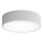 LED Stropna svetilka CLEO LED/24W/230V 3000K pr. 30 cm siva