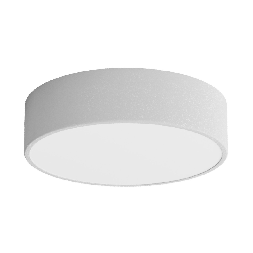 LED Stropna svetilka CLEO LED/24W/230V 3000K pr. 30 cm siva