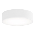 LED Stropna svetilka CLEO LED/24W/230V 4000K pr. 30 cm bela
