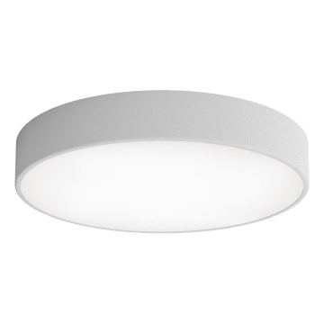 LED Stropna svetilka CLEO LED/69W/230V 4000K pr. 50 cm siva