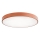LED Stropna svetilka CLEO LED/96W/230V 3000K pr. 80 cm baker