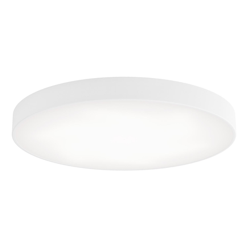LED Stropna svetilka CLEO LED/96W/230V 3000K pr. 80 cm bela