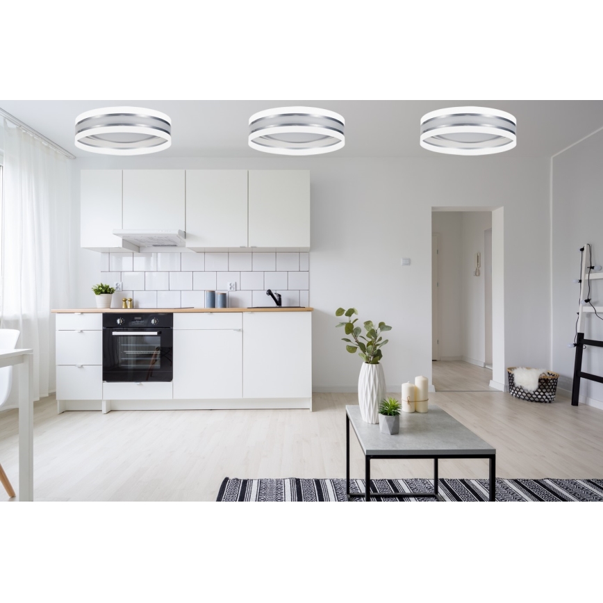 LED Stropna svetilka CORAL 1xLED/24W/230V bela/srebrna