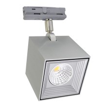 LED Stropna svetilka DAU SPOT MONOFASE LED/10W/230V