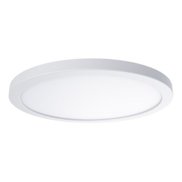 LED stropna svetilka EVORA LED/18W/230V 3000/4000/6000K premer 22,5 cm bela