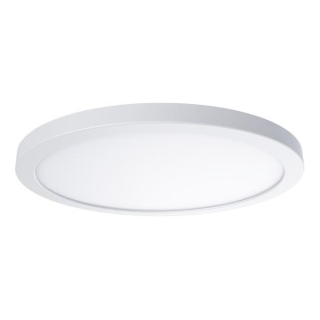 LED stropna svetilka EVORA LED/24W/230V 3000/4000/6000K Ø 30 cm bela