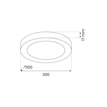 LED stropna svetilka EVORA LED/24W/230V 3000/4000/6000K Ø 30 cm bela