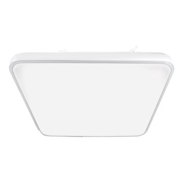 LED Stropna svetilka FABIO LED/23W/230V bela