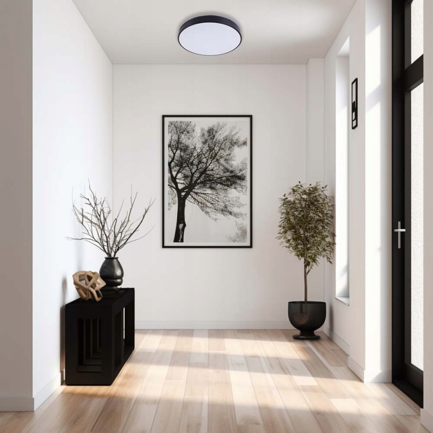 LED Stropna svetilka FELIZ LED/30W/230V 4000K pr. 30 cm črna