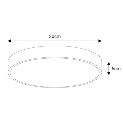 LED Stropna svetilka FELIZ LED/30W/230V 4000K pr. 30 cm črna