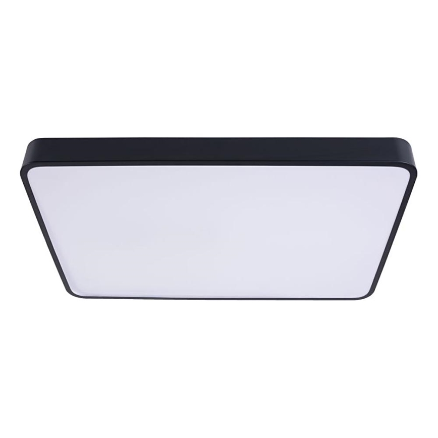 LED Stropna svetilka FELIZ LED/40W/230V 4000K 40x40 cm črna