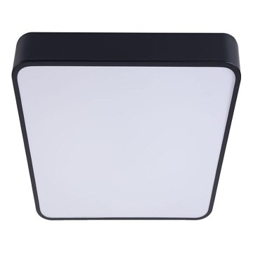 LED Stropna svetilka FELIZ LED/50W/230V 4000K 40x60 cm črna