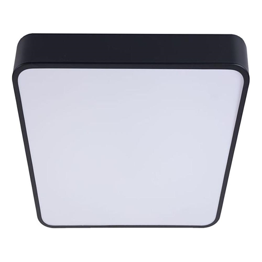 LED Stropna svetilka FELIZ LED/50W/230V 4000K 40x60 cm črna
