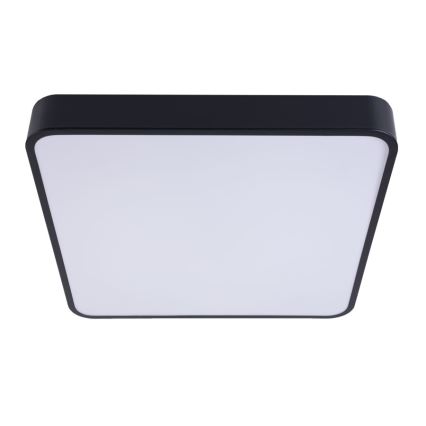 LED Stropna svetilka FELIZ LED/50W/230V 4000K 40x60 cm črna