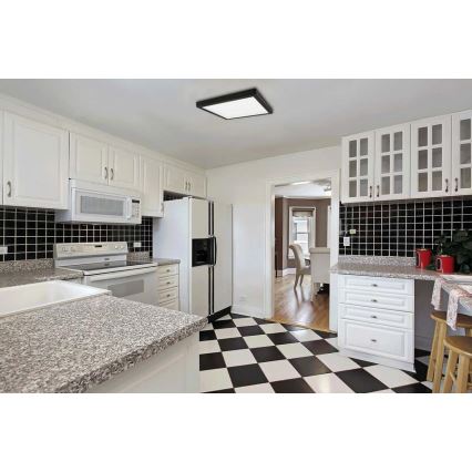 LED Stropna svetilka FENIX LED/12W/230V 2800K 17 cm