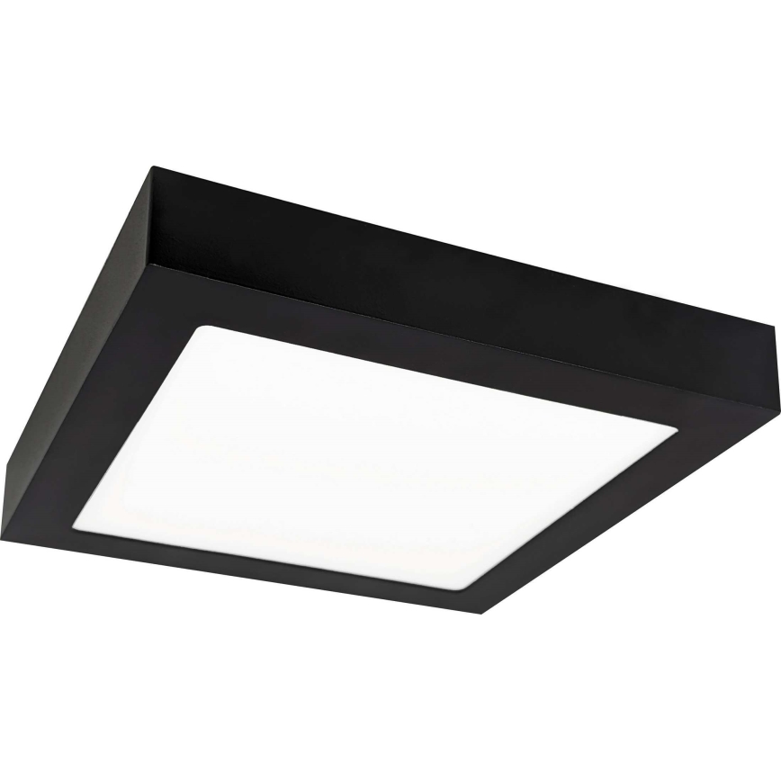 LED Stropna svetilka FENIX LED/12W/230V 2800K 17 cm