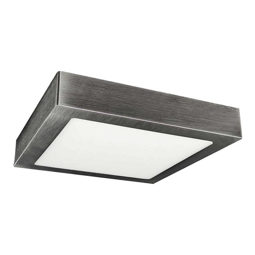 LED Stropna svetilka FENIX LED/12W/230V 3800K 17 cm