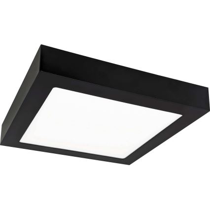 LED Stropna svetilka FENIX LED/12W/230V 3800K 17 cm