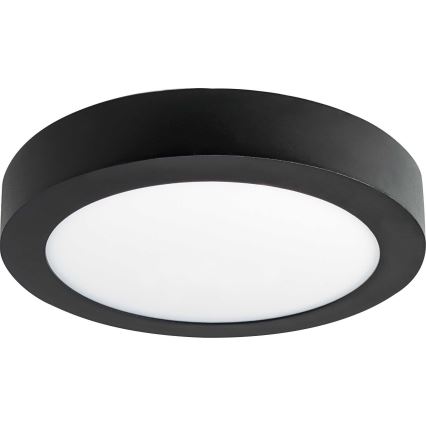 LED Stropna svetilka FENIX LED/12W/230V 3800K pr. 17 cm