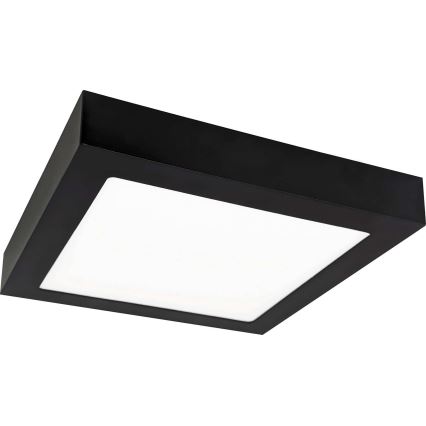 LED Stropna svetilka FENIX LED/18W/230V 3800K 22,5 cm