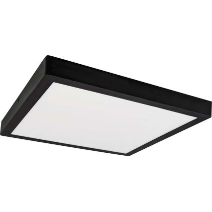 LED Stropna svetilka FENIX LED/24W/230V 3800K 29,8 cm