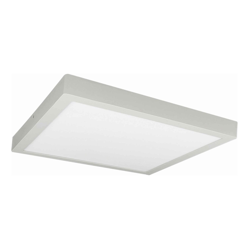 LED Stropna svetilka FENIX LED/32W/230V 3800K 40 cm bela