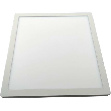 LED Stropna svetilka FENIX LED/32W/230V 3800K 40 cm bela