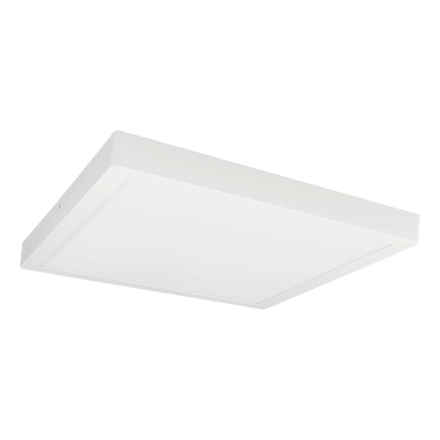 LED Stropna svetilka FENIX LED/32W/230V 3800K 40 cm snow bela