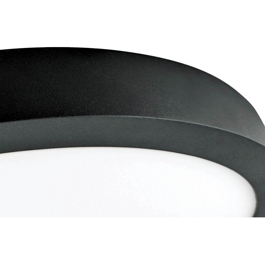 LED Stropna svetilka FENIX LED/32W/230V 3800K pr. 40 cm