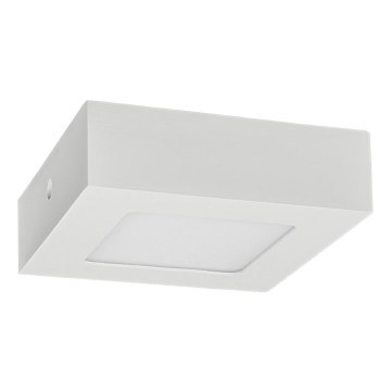 LED Stropna svetilka FENIX LED/6W/230V 2800K 12 cm