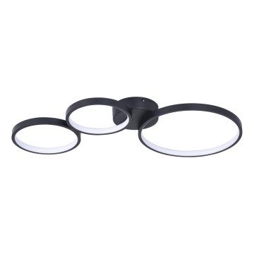 LED Stropna svetilka FLAMENCO LED/33W/230V 4000K črna