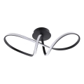 LED stropna svetilka FLAVIA LED/33W/230V 24x61 cm črna