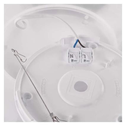 LED Stropna svetilka FLORI LED/18W/230V 4000K črna 29x29 cm