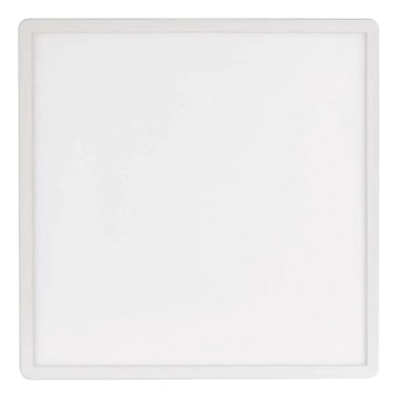 LED Stropna svetilka FLORI LED/22W/230V 4000K bela 42x42 cm