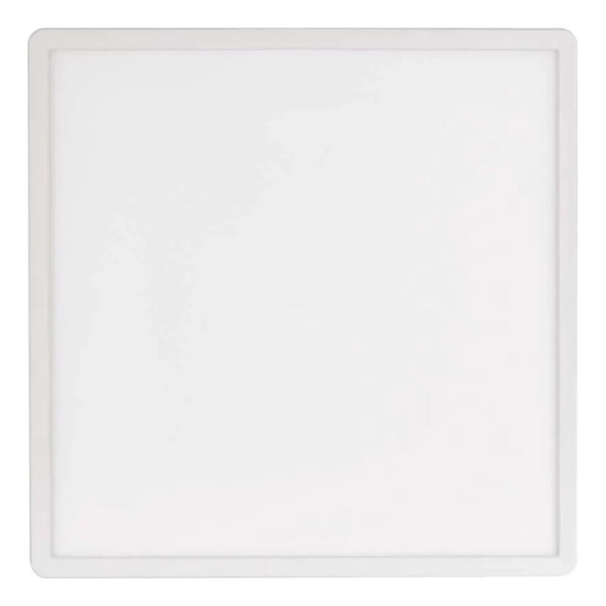LED Stropna svetilka FLORI LED/22W/230V 4000K bela 42x42 cm