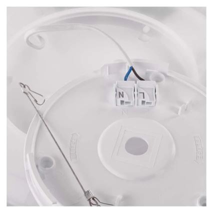 LED Stropna svetilka FLORI LED/22W/230V 4000K črna pr. 42 cm
