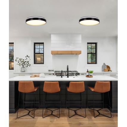LED Stropna svetilka FLORIDA LED/18W/230V črna