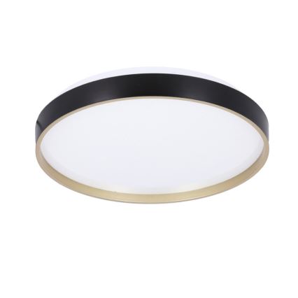 LED Stropna svetilka FLORIDA LED/18W/230V črna