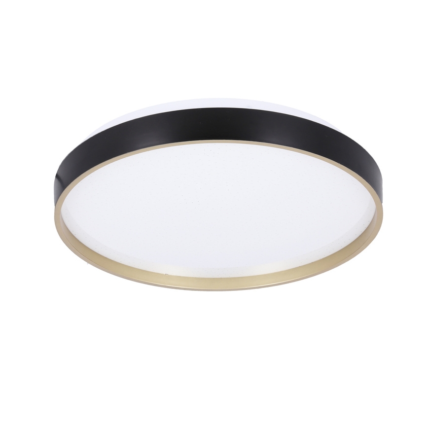 LED Stropna svetilka FLORIDA LED/18W/230V črna