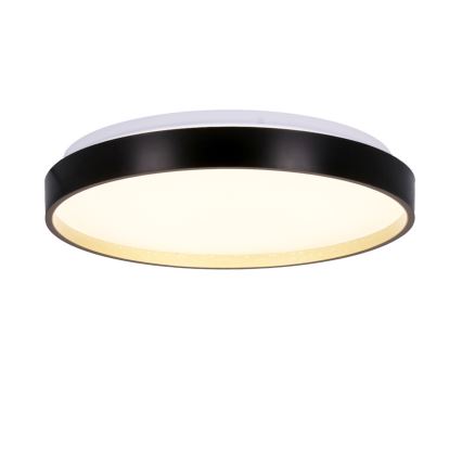 LED Stropna svetilka FLORIDA LED/18W/230V črna