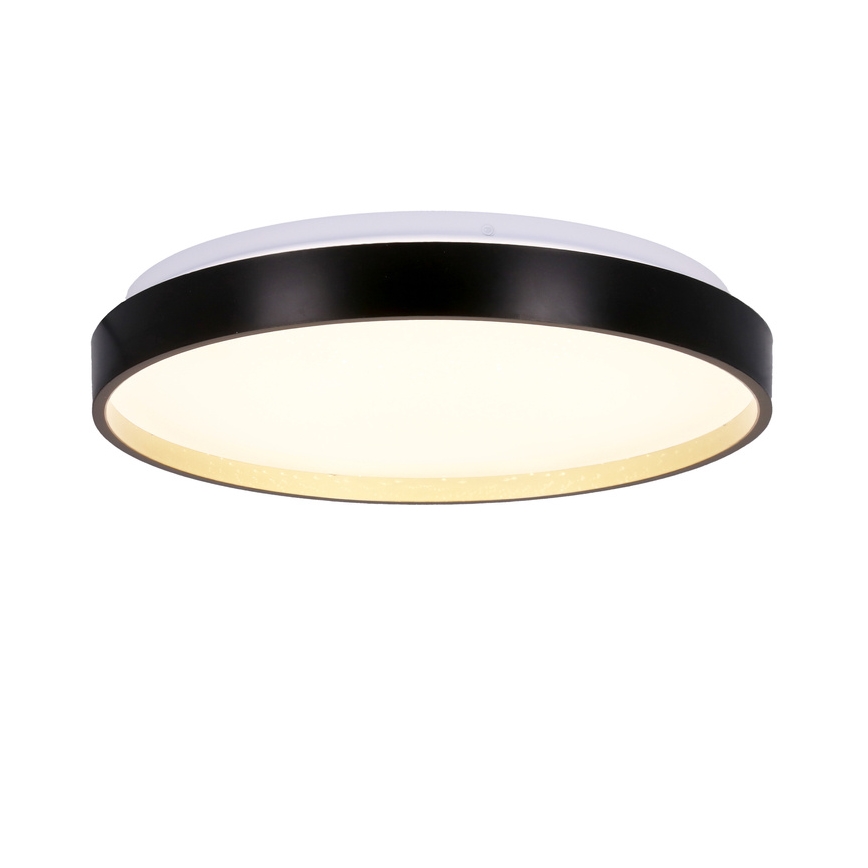 LED Stropna svetilka FLORIDA LED/18W/230V črna